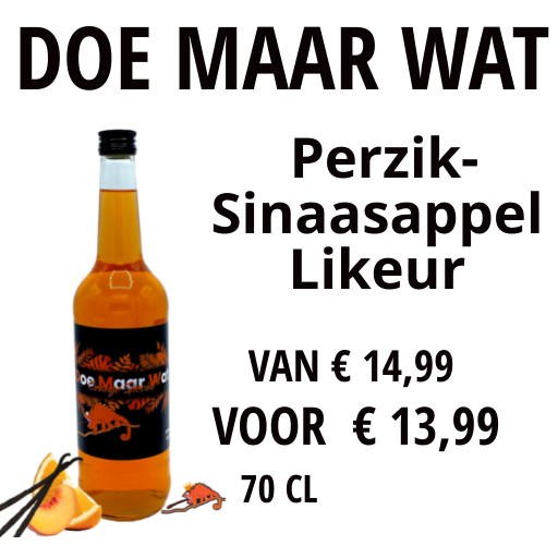 Doe maar wat-oranje-likeur-shotje-schaagen-www.likeurtjesrotterdam.nl